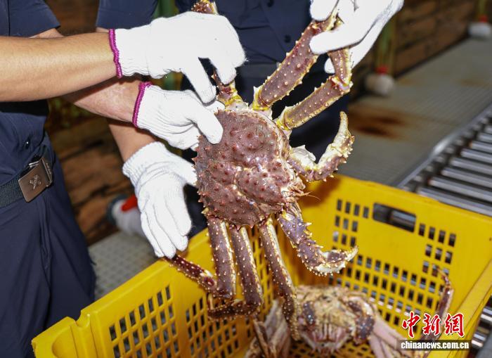 九游客户端：为何我们持续优化下载体验 - 九游官网